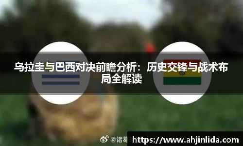 伟德体育