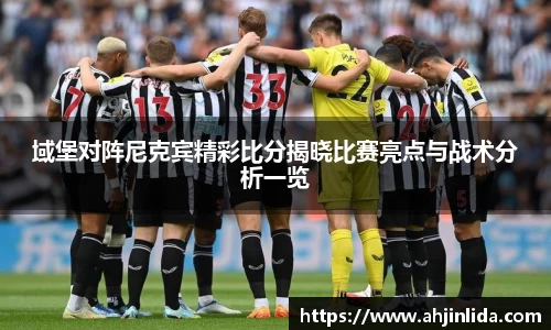 域堡对阵尼克宾精彩比分揭晓比赛亮点与战术分析一览